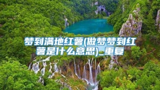 梦到满地红薯(做梦梦到红薯是什么意思)_重复