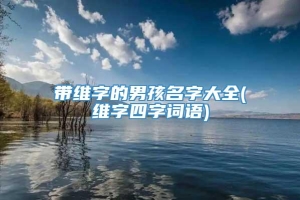 带维字的男孩名字大全(维字四字词语)