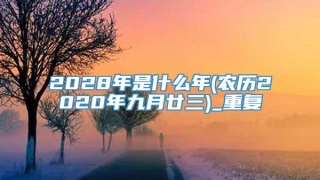 2028年是什么年(农历2020年九月廿三)_重复