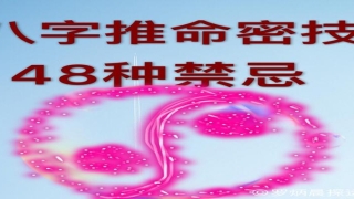 八字纯阳的人概率(八字推命密技)