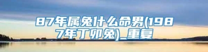 87年属兔什么命男(1987年丁卯兔)_重复