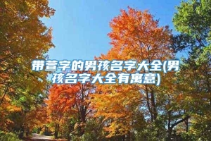 带萱字的男孩名字大全(男孩名字大全有寓意)