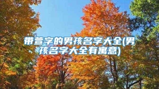 带萱字的男孩名字大全(男孩名字大全有寓意)
