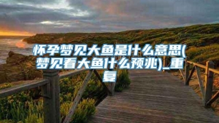 怀孕梦见大鱼是什么意思(梦见看大鱼什么预兆)_重复