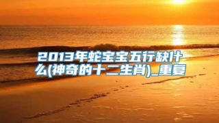 2013年蛇宝宝五行缺什么(神奇的十二生肖)_重复