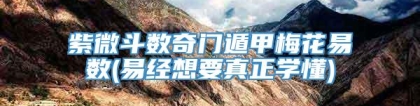 紫微斗数奇门遁甲梅花易数(易经想要真正学懂)