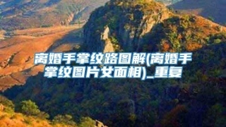 离婚手掌纹路图解(离婚手掌纹图片女面相)_重复