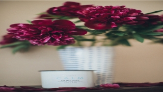 31岁属马五行属什么(你真的了解你自己的生肖吗)_重复