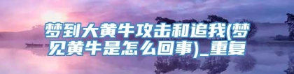 梦到大黄牛攻击和追我(梦见黄牛是怎么回事)_重复