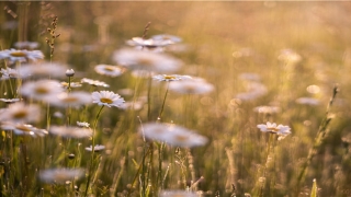 比较嚣张的战队名字(霸气的战队)