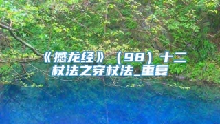 《撼龙经》（98）十二杖法之穿杖法_重复