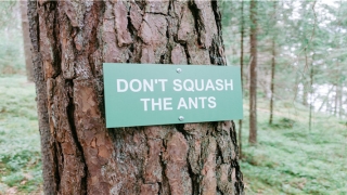 87年属兔2022年运势(2021北京冰雪文化旅游季暨延庆区第36届冰雪欢乐季火热启动)