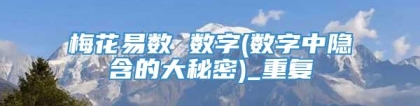 梅花易数 数字(数字中隐含的大秘密)_重复