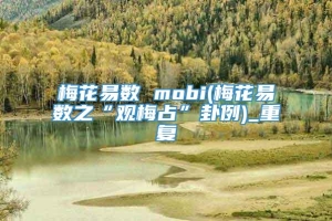 梅花易数 mobi(梅花易数之“观梅占”卦例)_重复