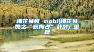 梅花易数 mobi(梅花易数之“观梅占”卦例)_重复