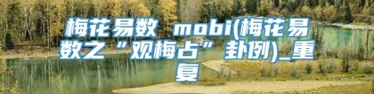 梅花易数 mobi(梅花易数之“观梅占”卦例)_重复