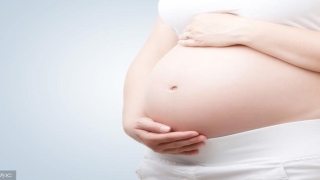 八字测2022年运势免费(生辰八字测你何时会怀孕生子)