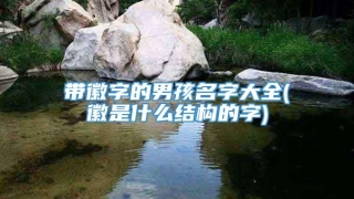 带徽字的男孩名字大全(徽是什么结构的字)