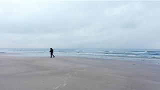 84年鼠相克的属相(十二生肖最迷惑的问题)