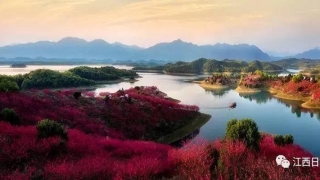 韩海军梅花易数内部资料(三生三世十里桃花)