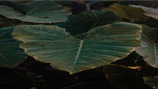 爱瞎操心的八字特征(喜欢瞎操心怎么办)