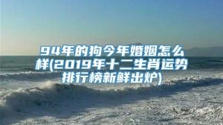 94年的狗今年婚姻怎么样(2019年十二生肖运势排行榜新鲜出炉)