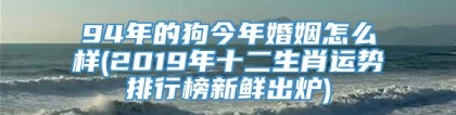 94年的狗今年婚姻怎么样(2019年十二生肖运势排行榜新鲜出炉)