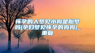 怀孕的人梦见小狗是胎梦吗(孕妇梦见怀孕的狗狗)_重复