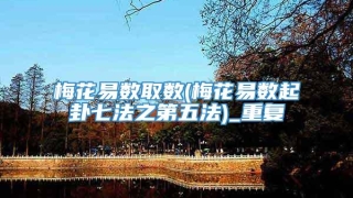 梅花易数取数(梅花易数起卦七法之第五法)_重复