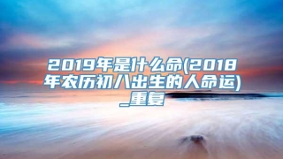 2019年是什么命(2018年农历初八出生的人命运)_重复