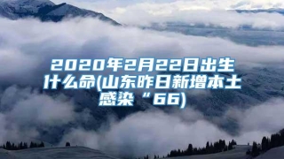 2020年2月22日出生什么命(山东昨日新增本土感染“66)