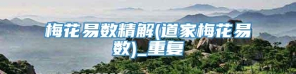 梅花易数精解(道家梅花易数)_重复