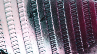 81年是什么命(乾隆为什么会成为古今第一长寿皇帝)