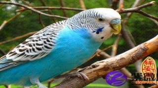 按照名字笔画算命