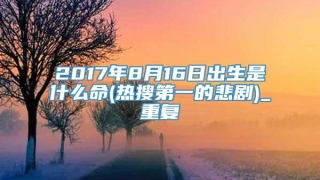 2017年8月16日出生是什么命(热搜第一的悲剧)_重复