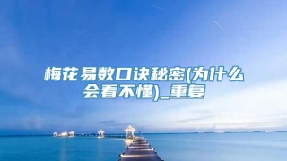 梅花易数口诀秘密(为什么会看不懂)_重复