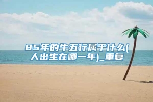 85年的牛五行属于什么(人出生在哪一年)_重复