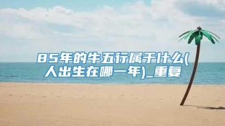 85年的牛五行属于什么(人出生在哪一年)_重复