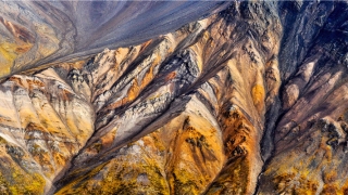 八字查询免费算命(八字算命学)