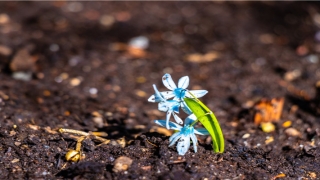 马云手相三角纹放大照(马云手相三角纹解读)