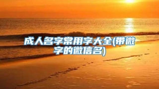 成人名字常用字大全(带微字的微信名)