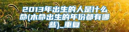 2013年出生的人是什么命(木命出生的年份都有哪些)_重复