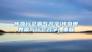 传奇行会霸气名字(传奇世界霸气行会名字)_重复