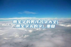 带宝字的男孩名字大全(带宝字头的字)_重复