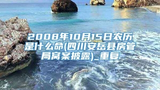 2008年10月15日农历是什么命(四川安岳县房管局窝案披露)_重复