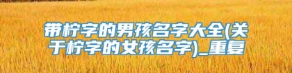 带柠字的男孩名字大全(关于柠字的女孩名字)_重复
