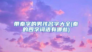 带秦字的男孩名字大全(秦的四字词语有哪些)