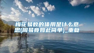 梅花易数的体用是什么意思(周易竟如此简单)_重复