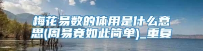 梅花易数的体用是什么意思(周易竟如此简单)_重复