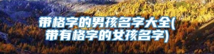 带格字的男孩名字大全(带有格字的女孩名字)